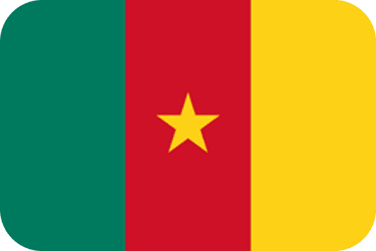 Send Money to Cameroon